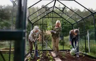 Seniors gardening in a greenhouse, practicing sustainable living by growing their own vegetables, showcasing eco-friendly habits and outdoor activities.