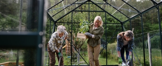 Seniors gardening in a greenhouse, practicing sustainable living by growing their own vegetables, showcasing eco-friendly habits and outdoor activities.